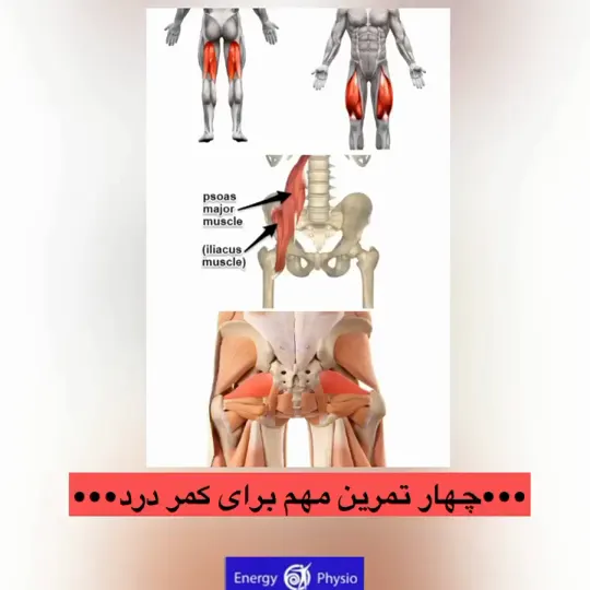 کشش چهار عضله مهم در کمر درد